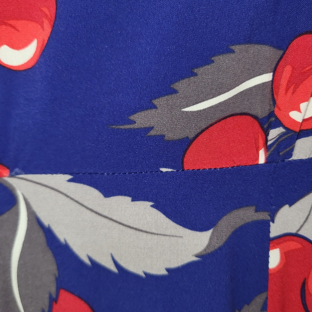 Trashy Diva Red and Blue Buttoned Midi Sundress - Picture 3 of 5